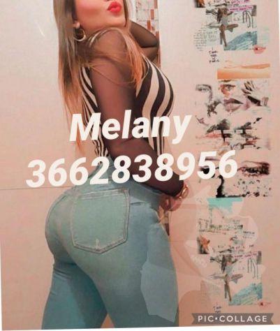 Melany 3