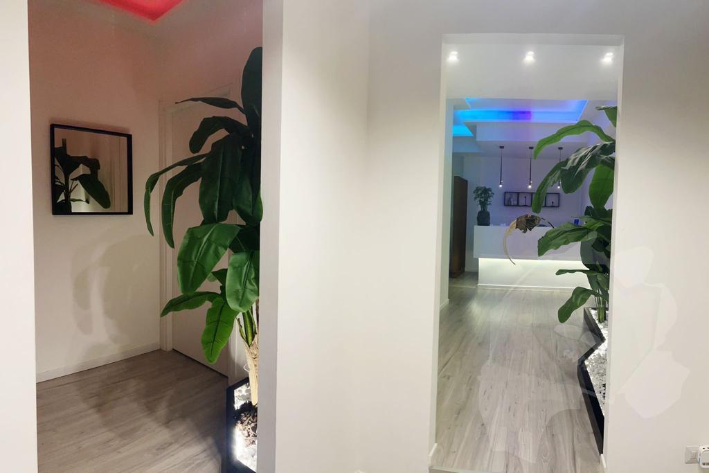 Wellness Experience 6