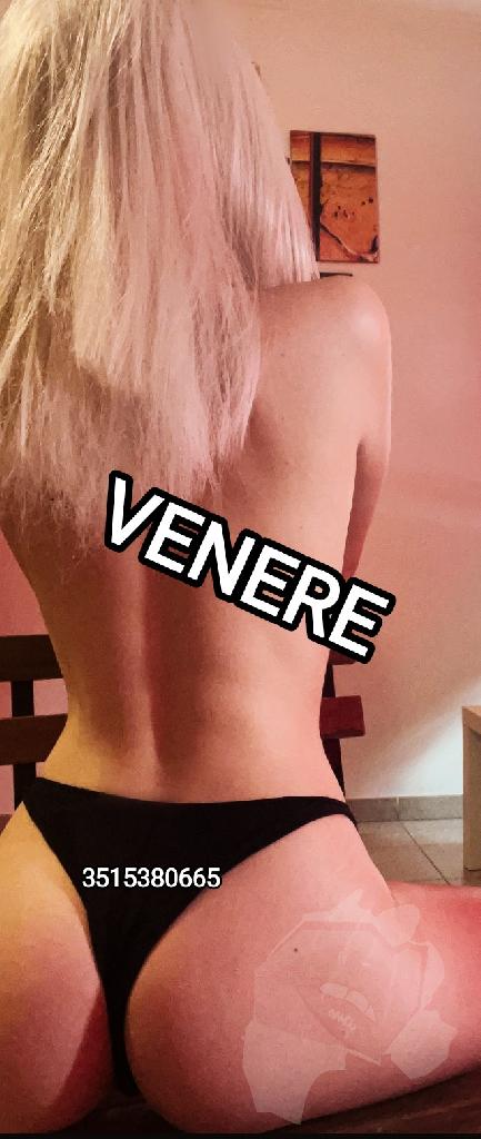 Venere Veronica  3