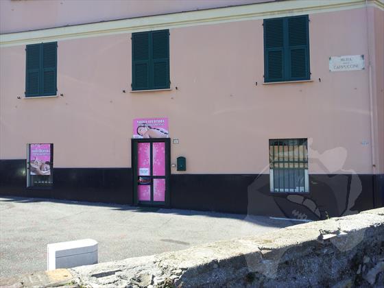C. M. Orientali 1