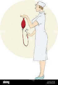 DAMA ITALIANA DOMINA 2